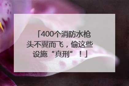 400个消防水枪头不翼而飞，偷这些设施“真刑”！