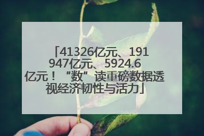 41326亿元、191947亿元、5924.6亿元！“数”读重磅数据透视经济韧性与活力