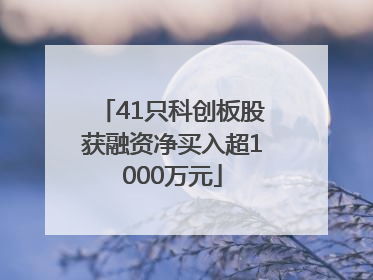 41只科创板股获融资净买入超1000万元