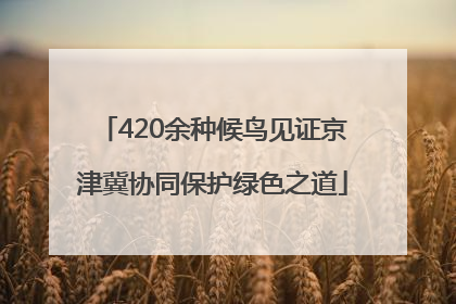 420余种候鸟见证京津冀协同保护绿色之道