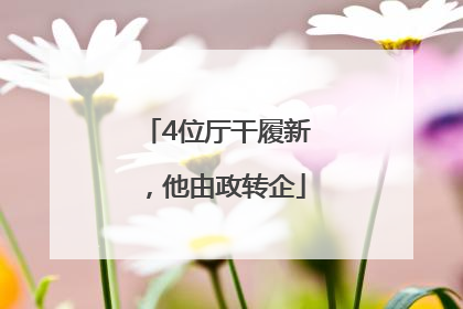 4位厅干履新，他由政转企
