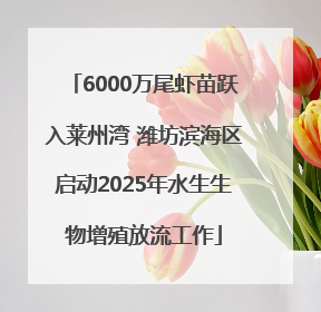 6000万尾虾苗跃入莱州湾 潍坊滨海区启动2025年水生生物增殖放流工作