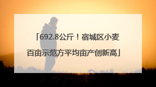 692.8公斤！宿城区小麦百亩示范方平均亩产创新高