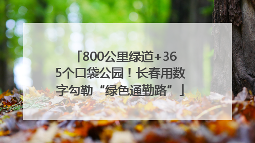 800公里绿道+365个口袋公园！长春用数字勾勒“绿色通勤路”