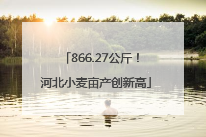 866.27公斤！河北小麦亩产创新高