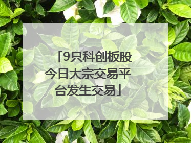 9只科创板股今日大宗交易平台发生交易