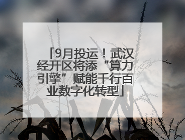 9月投运！武汉经开区将添“算力引擎”赋能千行百业数字化转型