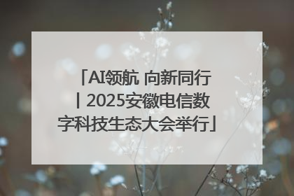 AI领航 向新同行丨2025安徽电信数字科技生态大会举行